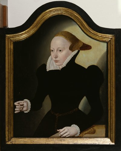 Portrait of a Young Woman by Bartholomaeus Bruyn